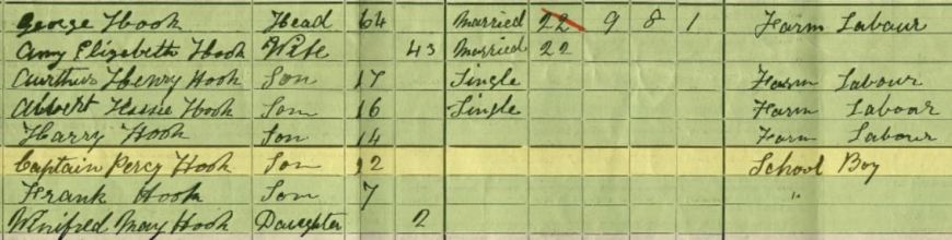 Captain Hook 1911 England Census Brenchley-Kent-England - Copy